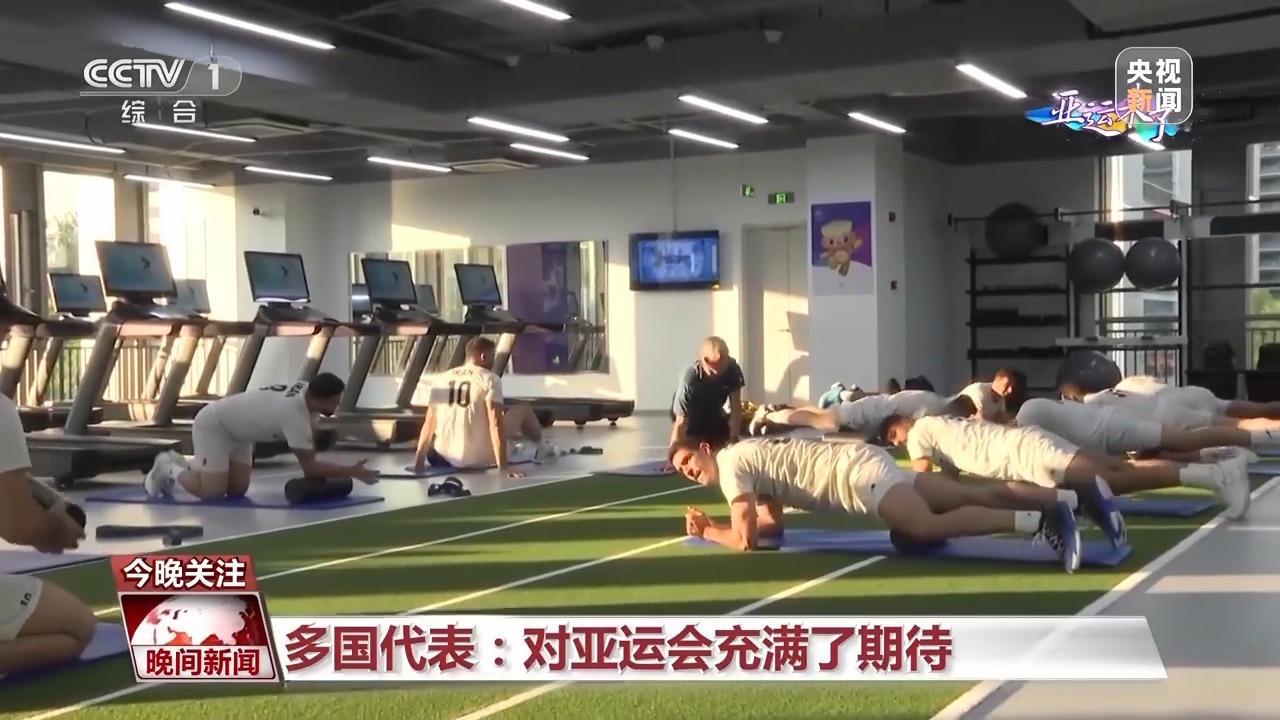 大白菜增新增强版
